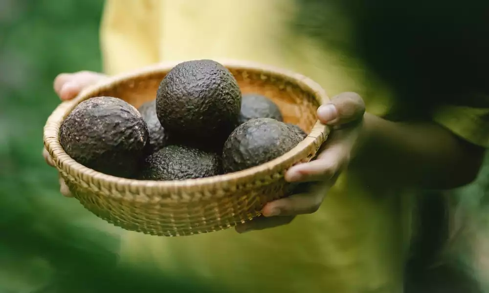 what are exotic fruits